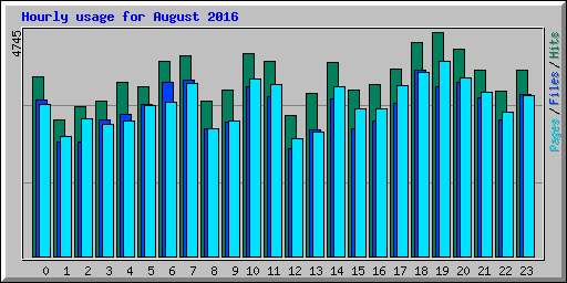 Hourly usage for August 2016
