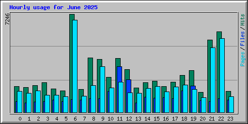Hourly usage for June 2025