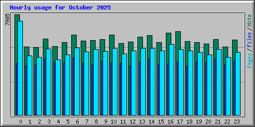 Hourly usage for October 2025