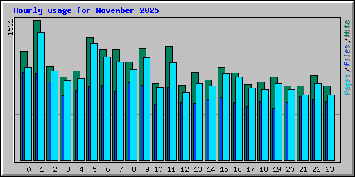 Hourly usage for November 2025